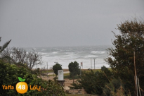 الطقس : أمطار غزيرة وعواصف وأجواء شديدة البرودة